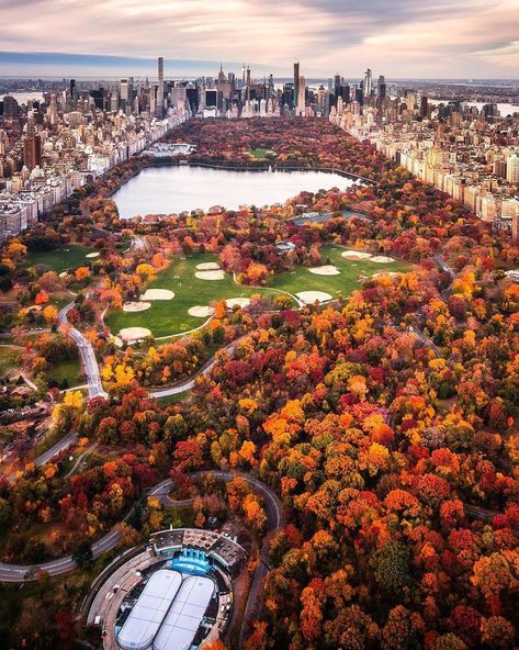 Central Park Aesthetic, Photographie New York, Fall In Nyc, New York Bucket List, New York City Aesthetic, Nyc Fall, Voyage New York, Central Park New York, Central Park Nyc
