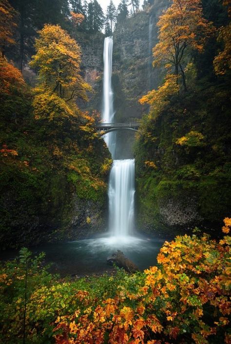 Chasing Waterfalls with Steve Schwindt | Really Right Stuff Blog Waterfall Pictures, Waterfall Photo, Nature Music, Waterfall Photography, Wild Nature, Beautiful Waterfalls, Belleza Natural, Best Photographers, Travel Insurance