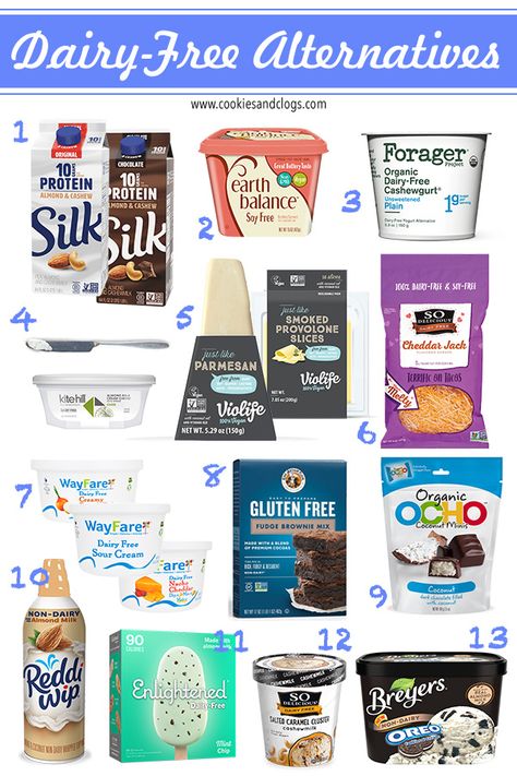 10+ Almost Perfect Dairy Free Alternatives That Make Food Tasty Again Lactose Free Recipes, Yogurt Sour Cream, Dairy Free Cooking, Dairy Free Breastfeeding, Dairy Free Snacks, Dairy Free Alternatives, Dairy Free Dinner, Soy Free Recipes, Milk Ice Cream