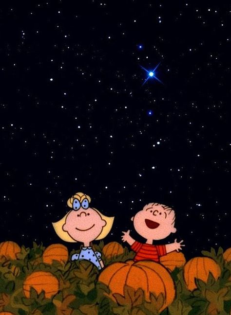 It’s the Great Pumpkin, Charlie Brown (1966) Charlie Brown Wallpaper, The Great Pumpkin Charlie Brown, Great Pumpkin Charlie Brown, Charlie Brown Halloween, Pumpkin Wallpaper, It's The Great Pumpkin, Peanuts Halloween, The Great Pumpkin, Snoopy Halloween