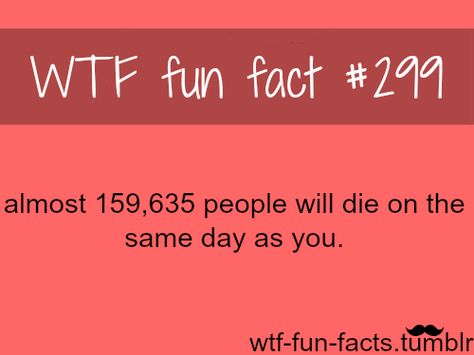 Random Facts, Things To Say To Friends, Weird Things To Say, Physcology Facts, Wierd Facts, Creepy Facts, Facts You Didnt Know, Mind Blowing Facts, Unbelievable Facts