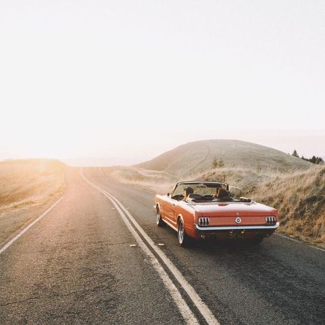 6 Essentials for a Kickass Summer Roadtrip Summer Roadtrip, Sunset Cruise, Summer Road Trip, Road Trippin, Open Road, Foto Inspiration, The Plan, Adventure Awaits, Bahamas