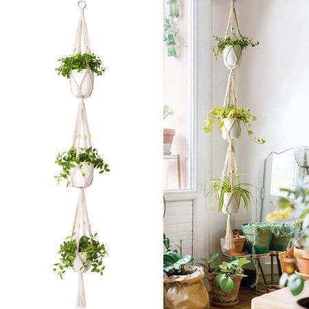 Specifications: Made of high quality material and with fine workmanship, durable and sturdy. With a strong flexible woven design that can accommodate various shapes and sizes of planters. Suitable for indoor and outdoor use, and it is also a great and practical gift for plant lover. Type: Plants Hanging Basket Material: Woven cotton Features: Durable, Eco-friendly, Widely Use, Sturdy Total Length: 1.8m/70.87 (Approx.) Notes: Due to the light and screen setting difference, the items color may be slightly different from the pictures. Please allow slight dimension difference due to different manual measurement. Package Includes: 1 x Plants Hanging Basket (Others Not Included) Color: as shown. 3 Tier Hanging Planter, Macrame Hanging Plants, Hanging Glass Terrarium, Macrame Basket, Plants Hanging, Wall Planters Indoor, Hanging Wall Planters, Jute Hanging, Hanging Planters Indoor