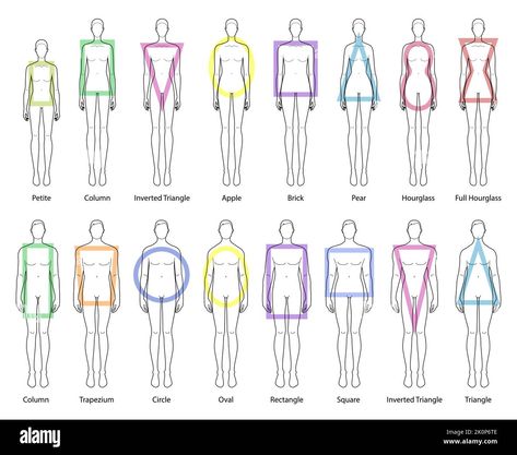 Types Of Figures Body Shapes, Apple Body Shape Reference, Drawing Base Shapes, Croquis, Square Figure Body Type, Triangle Male Body Type, Body Shape Chart Women, Women Shapes Body Types, Body Type Chart Women