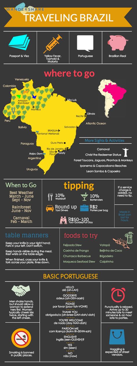 Brésil Brazil Infographic, Travelling Brazil, Brazil Bucket List, Travel To Brazil, South Brazil, Brazil Trip, Travel Brazil, San Paolo, Brazil Travel
