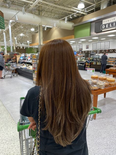 Layers In Straight Long Hair, Long Layers With V Cut, Long Layers In Straight Hair, Long Layers Thick Hair Straight, Layered Hair On Straight Hair, Long Layers On Brown Hair, Aesthetic Haircuts Long Straight, Straight Haircut Layers, Long Straight Hair Haircuts