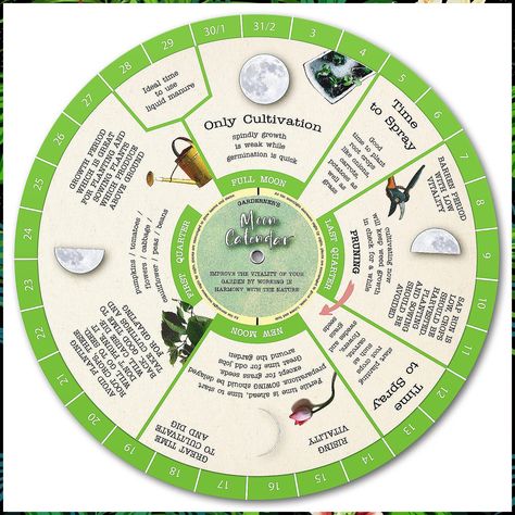 Gardening Moon Calendar, Perpetual Lunar Cycle Calendar for Gardeners, Farmers Almanac, Easily Determine Optimal Times for Pruning, Planting, Sowing, Spraying. A great gift for Gardeners & Farmers (Gardening Moon Calendar) Planting Chart, Companion Planting Chart, Gardening Activities, Planting Calendar, Seed Storage, Garden Activities, Farmers Almanac, Plant Journal, Garden Calendar