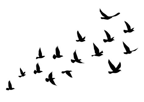 Bird Flying Tattoo, Flying Bird Vector, Bird Design Tattoo, Vogel Silhouette, Flying Bird Silhouette, Vogel Tattoo, Flying Tattoo, Flying Bird Tattoo, Bird Flying