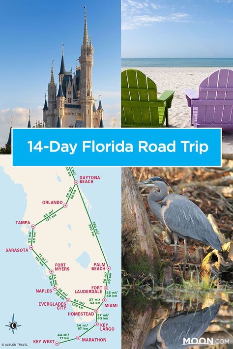 Plan an epic 14-Day Florida Road Trip with ideas for the best pit stops and a handy travel map with drive time estimates. #florida #roadtrip Florida Road Trip, Bahia Honda State Park, Orange Beach Alabama, Miami City, Orlando Beach, Quiet Beach, Fort Myers Beach, Travel Map, Road Trip Itinerary