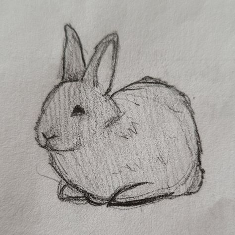 Bunny Sketch Easy, Bunny Sketches, Rabbit Drawing, Bunny Drawing, Cute Sketches, Animation Art Sketches, Art Tools Drawing, Easy Drawings Sketches, Easy Doodle Art