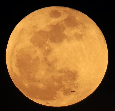 A barely-visible plane flies in front of the 'Super Blue Blood Moon' in Hatay province of Turkey on January 31, 2018. Yellow Moon Aesthetic, Blood Moon Pictures, Brown Pics, Brown Moon, Moon Yellow, Moon Pics, Pretty Moon, Celestial Event, Circle Canvas