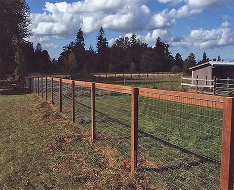 Goat Fence, Pasture Fencing, Fence Planning, Fence Options, Diy Garden Fence, Horse Fencing, Cheap Fence, Future Farms, Diy Fence