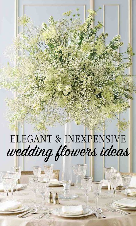 Elegant and Inexpensive Wedding Flower Ideas | Martha Stewart Weddings - Miniature daisies, doily-shaped Queen Anne's lace, and baby's breath come together in a beautiful balancing act atop a tall, graceful candlestick. Queen Anne’s Lace Wedding Flowers, Make Your Wedding Unique, Cheap Wedding Flowers Centerpieces, Daisy Flower Wedding Decor, Wedding Flowers Inexpensive, Cheap Wedding Floral Ideas, Elegant Cheap Wedding Decor, Simple Tall Centerpieces Wedding, Tall Inexpensive Wedding Centerpieces