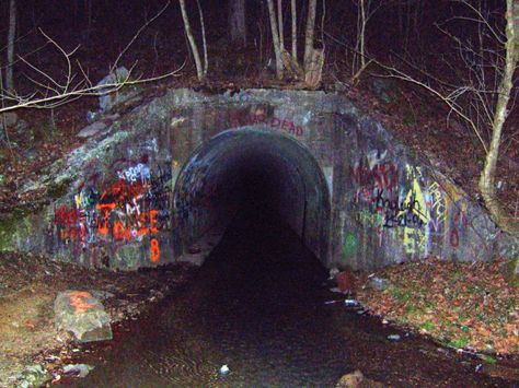 Located just outside of the town of Kingsport on the Virginia border is the Sensabaugh Tunnel. What makes this one special is that it is TOTALLY HAUNTED. It's said that Mr. Sensabaugh killed his entire family and threw their bodies in the creek within this tunnel. For a truly hair-raising experience, check this tunnel out at night. It'll be sure to give you goosebumps! Haunted Places, Ghost Stories, Scary Stories, Eerie Places, Spooky Places, Places In America, Scary Places, Most Haunted, Urban Legends