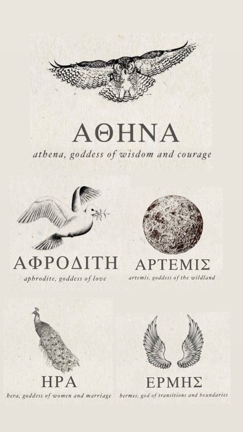 Greek Mythology Bird Tattoo, Athena And Aphrodite Tattoo, Aphrodite Tattoo Meaning, Greek Goddess Tattoo Athena Symbols, Greek Goddess Artemis Tattoo, Greek God Symbols Tattoo, Hera Goddess Symbol, Greek Inspired Tattoos For Women, 09 Tattoo Number