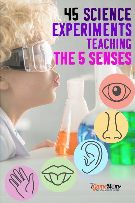 Learn the 5 senses with science experiments, 5-10 experiments for each sense: taste, smell, touch, see, hearing. Easy STEM activities for kids from from preschool to elementary to middle school 5 Senses Steam Activities, Sight Science Experiment, 5 Senses Science Experiments Preschool, Senses Science Activities Preschool, 5 Senses Stem Activities Preschool, Sense Of Taste Activities Preschool Science Experiments, 5 Senses Activities For 3rd Grade, 5 Senses Activities For 2nd Grade, Prek Senses Activities