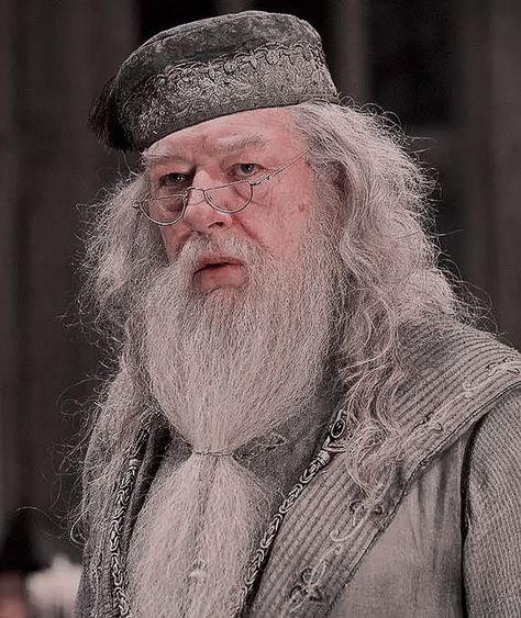 Madeye Moody, Harry Potter Dumbledore, Hogwarts Harry Potter, Harry Potter Wall, Harry Potter Background, Fred Weasley, Harry Potter Pictures, Harry Potter Theme, Albus Dumbledore