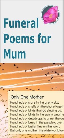 Loss Of A Mum, Mothers Funeral Quotes, Mum Poems Funeral, Letter From Heaven Mothers, Poem For Friend Who Lost Mom, Mum Funeral Poems, What Is A Mother Poem, Mother Funeral Poems From Daughter, Funeral Readings For Mum