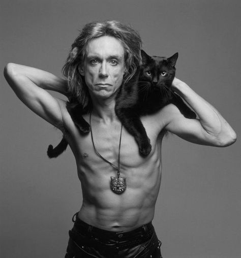 30 Awkward Vintage Photos of Celebrities Posing With Their Beloved Cats ~ vintage everyday Celebrities With Cats, Men With Cats, Jazz Cat, Image Chat, Iggy Pop, Photo Chat, Cat Signs, Cat People, Cat Person