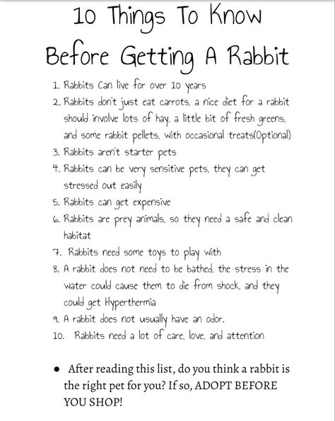 What Can Rabbits Eat, Bunny Care Tips, Rabbit Pellets, Rabbit Facts, Bunny Supplies, Funny Bunny Videos, Pet Rabbit Care, Raising Farm Animals, Bunny Room