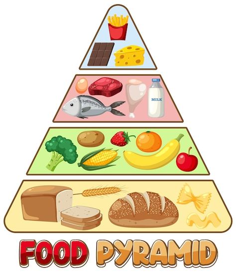 Food nutrition groups pyramid | Premium Vector #Freepik #vector #fat-cartoon #food-groups #food-clipart #carbs Best Chocolate Bundt Cake Recipe, Best Chocolate Bundt Cake, Hygiene Lessons, Chocolate Bundt Cake Recipe, Fat Cartoon, Nutrition Pyramid, Easy Custard, Cake Pizza, Cartoon Food