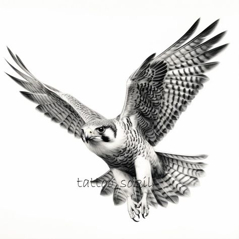 Explore the power and precision of nature through this full-body pencil drawing of a falcon. The intricate shading and bold strokes showcase the intensity of the bird's presence, creating a striking representation of wildlife. Tags: #NaturePower #FalconSketch #MonochromePrecision #WildlifeArtistry #ХижаПтаха #ІлюстраціяСокола #Сокол #ОлівецьМалюнок #FalconArt #PencilDrawing #WildlifePortrait #MonochromeMajesty #BirdOfPrey #NatureArt #FalconIllustration #BlackAndWhiteElegance Flying Falcon, Falcon Drawing, Falcon Tattoo, Bird Pencil Drawing, Falcon Art, Bald Eagle Art, Fly Drawing, Hawk Tattoo, Palm Mehndi Design