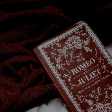 Hogwarts Houses, Red Academia, Gryffindor Aesthetic, Buku Harry Potter, Hogwarts Aesthetic, Harry Potter Aesthetic, Dark Academia Aesthetic, Academia Aesthetic, Romeo And Juliet