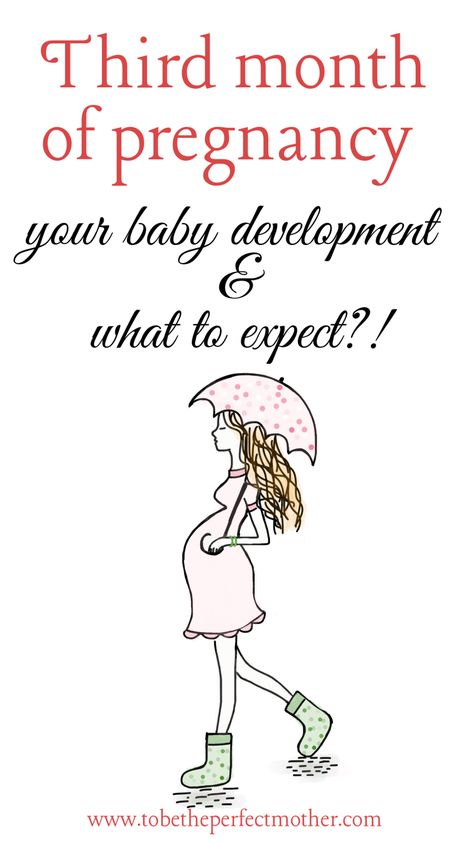 What to expect in the third month of pregnancy Severe Leg Cramps, Pregnancy Mood Swings, Hiding Pregnancy, Third Month Of Pregnancy, First Month Of Pregnancy, Pregnancy Checklist, Pregnancy Support, Pregnancy Quotes, Pregnancy Yoga