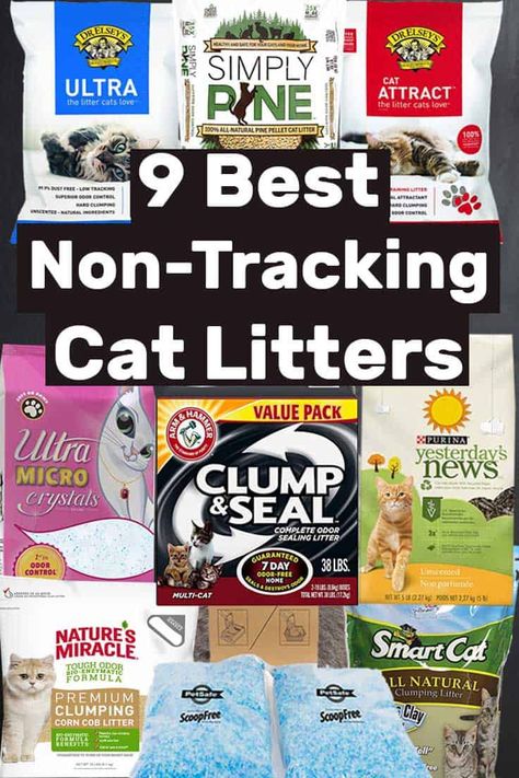 9 Best Non-Tracking Cat Litters – Litter-Boxes.com Pine Cat Litter, Training A Kitten, Litter Box Smell, Litter Tracking, Best Cat Litter, Litter Box Furniture, Cat Wall Furniture, Cat Litter Box Furniture, Pumpkin Dog Treats