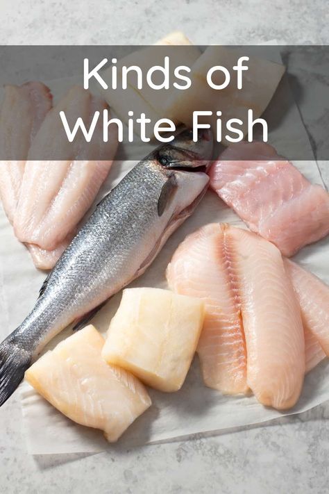 Various types of fish fillets and a whole raw fish, text reads Kinds of White Fish. Fish That Doesn't Taste Fishy, White Fish Marinade Recipes, Baked Whiting Fish Recipes, Pacific Whiting Fillets Recipes, Whiting Fish Recipes, Whitefish Recipes, Types Of Fish To Eat, White Fish Recipes Healthy, White Fish Recipes Baked