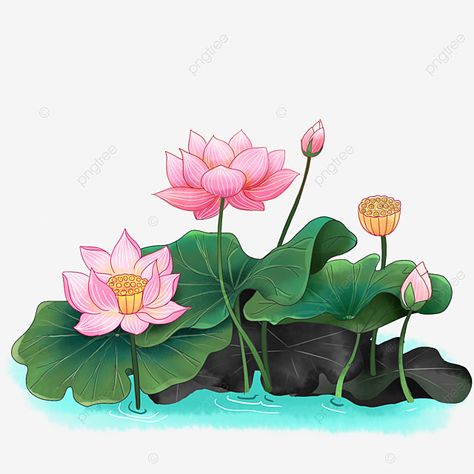 Lotus Leaf Painting, Pond Clipart, Lotus Clipart, Chinese Clipart, Painting Clipart, Plant Clipart, Traditional Chinese Painting, Lotus Bud, Watercolor Lotus