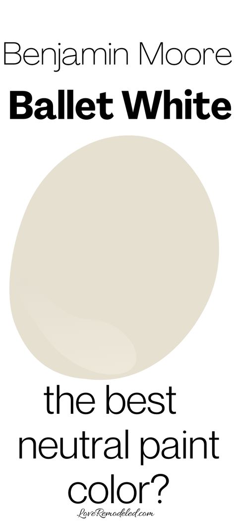 Lime White Benjamin Moore, Easter Lily Benjamin Moore, Cream White Benjamin Moore, Albescent Benjamin Moore Paint, Bm Cocoa Butter Paint, Bm Ballet White Walls, Sailcloth Benjamin Moore, Popular Benjamin Moore Paint Colors 2023, Perfect Cream Paint Color