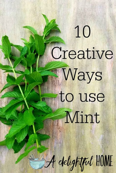 Do you have an abundance of mint plants taking over your garden? When you have run out of recipes to sneak mint into, use this handy guide for 10 creative ways to use your excess so it doesn’t go to waste! #mint #gardening #herbgarden Ways To Use Mint, Uses For Mint Leaves, Mint Plant Uses, Mint Recipes Fresh, Chocolate Mint Plant, Remedies For Bronchitis, Control Hair Fall, Drying Mint Leaves, Home Remedies For Bronchitis