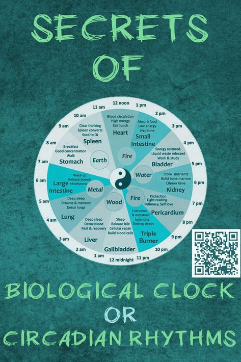 secrets of biological clock or body clock or circadian rhythms Welcome To Sweden, Biological Clock, Energy Breakfast, Body Clock, Healing Waters, Clear Thinking, Collaborative Learning, Student Organization, Circadian Rhythm