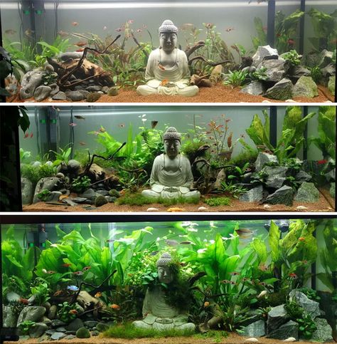Aquarium Setup Ideas, Cool Fish Tank Decorations, Fish Tank Themes, Bawah Air, Fish Tank Terrarium, Amazing Aquariums, Aquascape Design, Cool Fish Tanks, Fish Tank Design