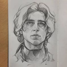 Timothee Chalamet. Celebrity Pencil Portrait Sketches. Click the image, for more art from Anaïs. Pencil Portrait, 인물 드로잉, Art Diary, Arte Inspo, Portrait Sketches, Arte Sketchbook, Art Drawings Sketches Creative, Pencil Art Drawings, Sketch Painting