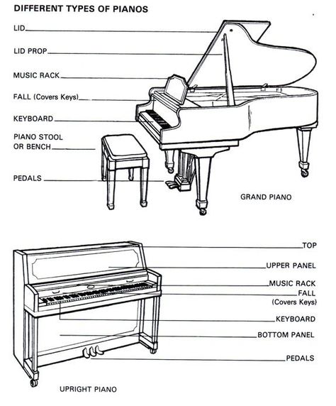 About the Piano, parts of the Piano | Basic Piano lessons| Piano Lessons Online Studio Singing, Types Of Pianos, Piano Pedagogy, Basic Anatomy, Acoustic Piano, Piano Lessons For Beginners, Keyboard Lessons, Piano Classes, Piano Teaching Resources