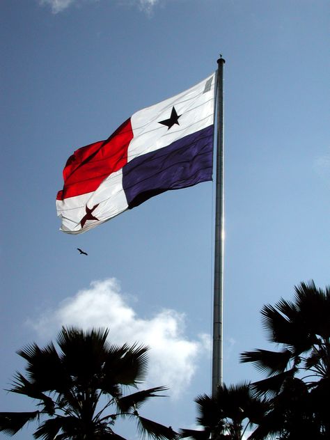 Panamanian Flag, Panama Cruise, Viva Panama, Panama Canal Cruise, Panama Flag, Modern Skyscrapers, Panama Travel, Cruise Excursions, Cultural Centre