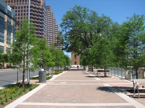 Austin Downtown, Texas Mountain Laurel, Street Background, Urban Design Plan, Street Trees, Urban Forest, Downtown Austin, Landscape Architecture Design, Scenic Design