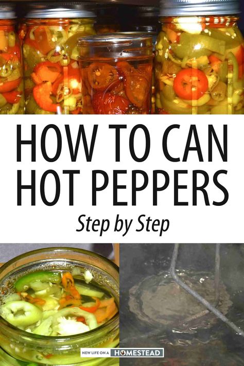 Canned Hot Peppers Recipes, Can Hot Peppers, Pickling Hot Peppers Recipe, Recipe Peppers, How To Pickle Peppers, Canning Hot Peppers, Pickled Pepper Recipe, Canning Peppers, Pickled Hot Peppers