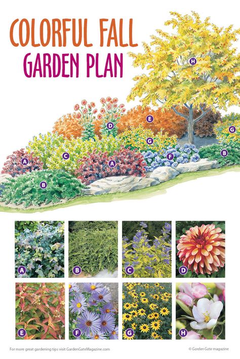 Make fall your garden's best season with this garden plan! #fallgarden #gardenplan Island Bed, Perennial Garden Plans, Flower Garden Plans, Raised Vegetable Gardens, Vegetable Garden Planning, Garden Plan, Cottage Garden Design, Garden Design Plans, Landscape Plans