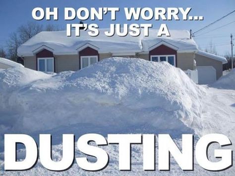 A New England dusting. Humour, Nemo Memes, Snow Meme, Winter Humor, Snow Humor, Hate Winter, Lake George, Snow Storm, Snow Day