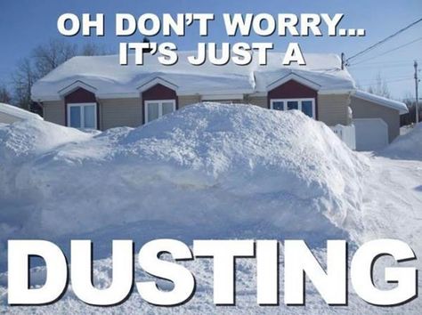 A New England dusting. Humour, Nemo Memes, Snow Meme, Winter Jokes, Winter Humor, Snow Humor, Hate Winter, Lake George, Snow Storm