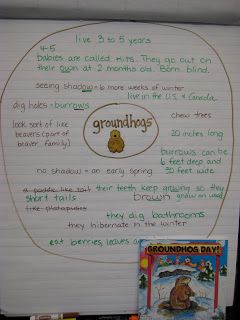 FREE Groundhog pattern Gail Gibbons Author Study, Kindergarten Groundhog Day, Thinking Map, Groundhog Day Activities, February Classroom, February Holidays, Thinking Maps, Circle Map, February Ideas