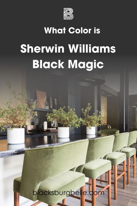 Sherwin Williams Black Magic SW 6991: Paint Color Review Black Magic Paint Sherwin Williams, Warm Black Paint Color, Sherwin Williams Black Magic, Sherwin Williams Tricorn Black, Sherwin Williams Black, Accessible Beige Sherwin Williams, Black Paint Colors, Sherman Williams, Tricorn Black