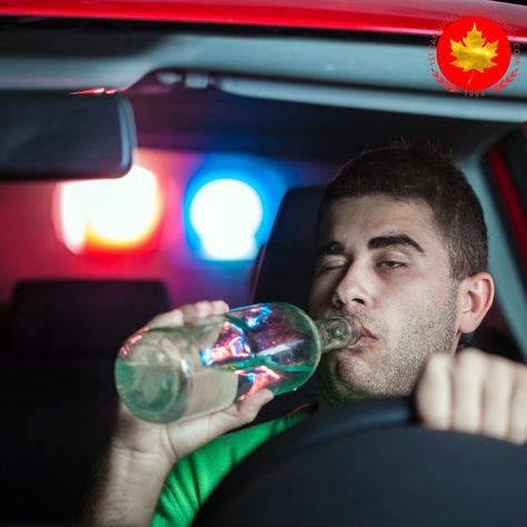 Drunk Driving Awareness, Driving Memes, Drinking And Driving, Driving Instructor, Drunk Driving, Driving Tips, Social Problem, Driving License, Driving School
