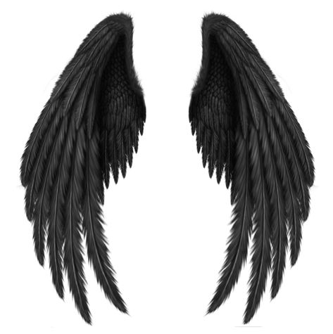 Men Tattoos, Angel Wings Png, Alas Tattoo, Angel Wings Drawing, Tattoo Son, Wings Png, Raven Wings, Demon Wings, Black Angel Wings