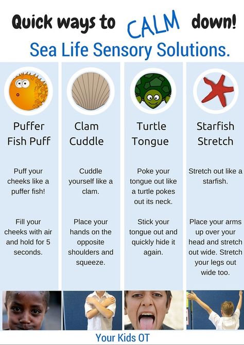 Quick ways to calm down! Sea life Sensory Solutions! Includes a free printable at Your Kids OT Play Therapy, Conscious Discipline, Calming Strategies, Sensory Diet, Behaviour Management, School Social Work, Child Therapy, How Many Kids, Mental Training