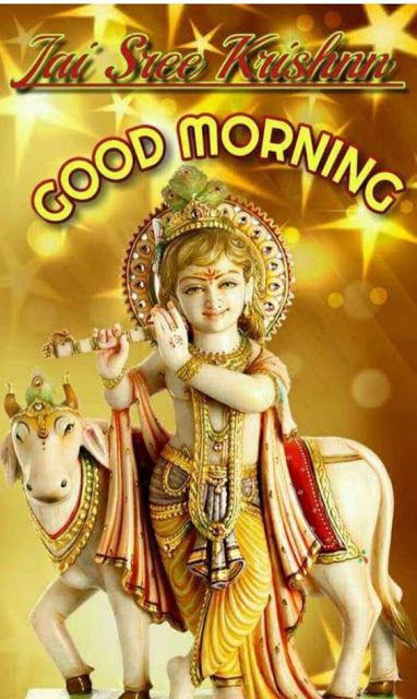 Krishna Janmashtami Wishes, Krishna Baby, Good Morning Friday Images, Good Morning Gif Images, Sweet Good Morning Images, Good Morning Monday Images, Good Morning Wishes Friends, Happy Krishna Janmashtami, Good Night Cat