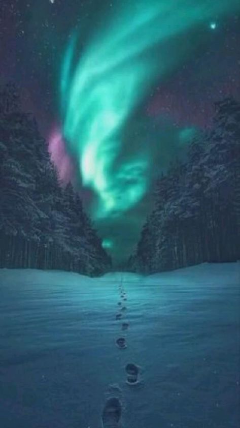 Aroura Borealis, Northern Lights Wallpaper, Northern Lights Art, Northern Lights Photography, Northen Lights, Futurisme Retro, Matka Natura, Northern Lights (aurora Borealis), Aurora Borealis Northern Lights